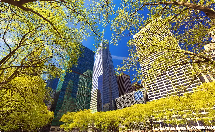 Picture of New York office